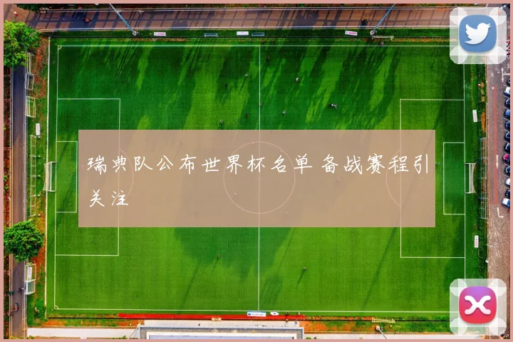 瑞典队公布世界杯名单 备战赛程引关注