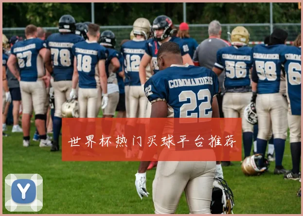 世界杯热门买球平台推荐