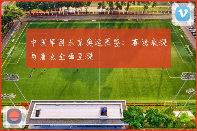 中国军团东京奥运图鉴：赛场表现与看点全面呈现