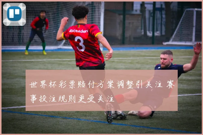 世界杯彩票赔付方案调整引关注 赛事投注规则更受关注