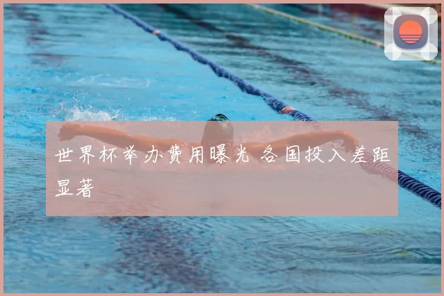 世界杯举办费用曝光 各国投入差距显著