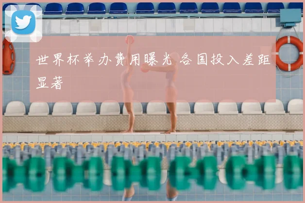 世界杯举办费用曝光 各国投入差距显著